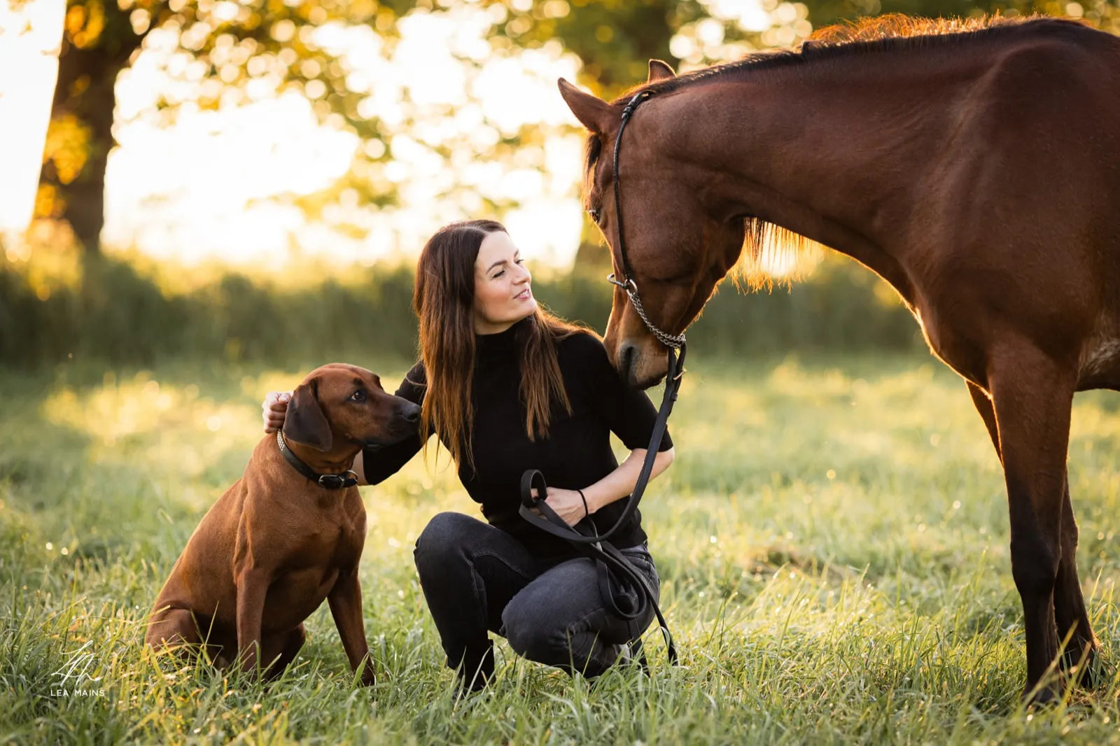 Laetitia Collet avec un cheval arabe et un Rhodesian Ridgeback au coucher du soleil