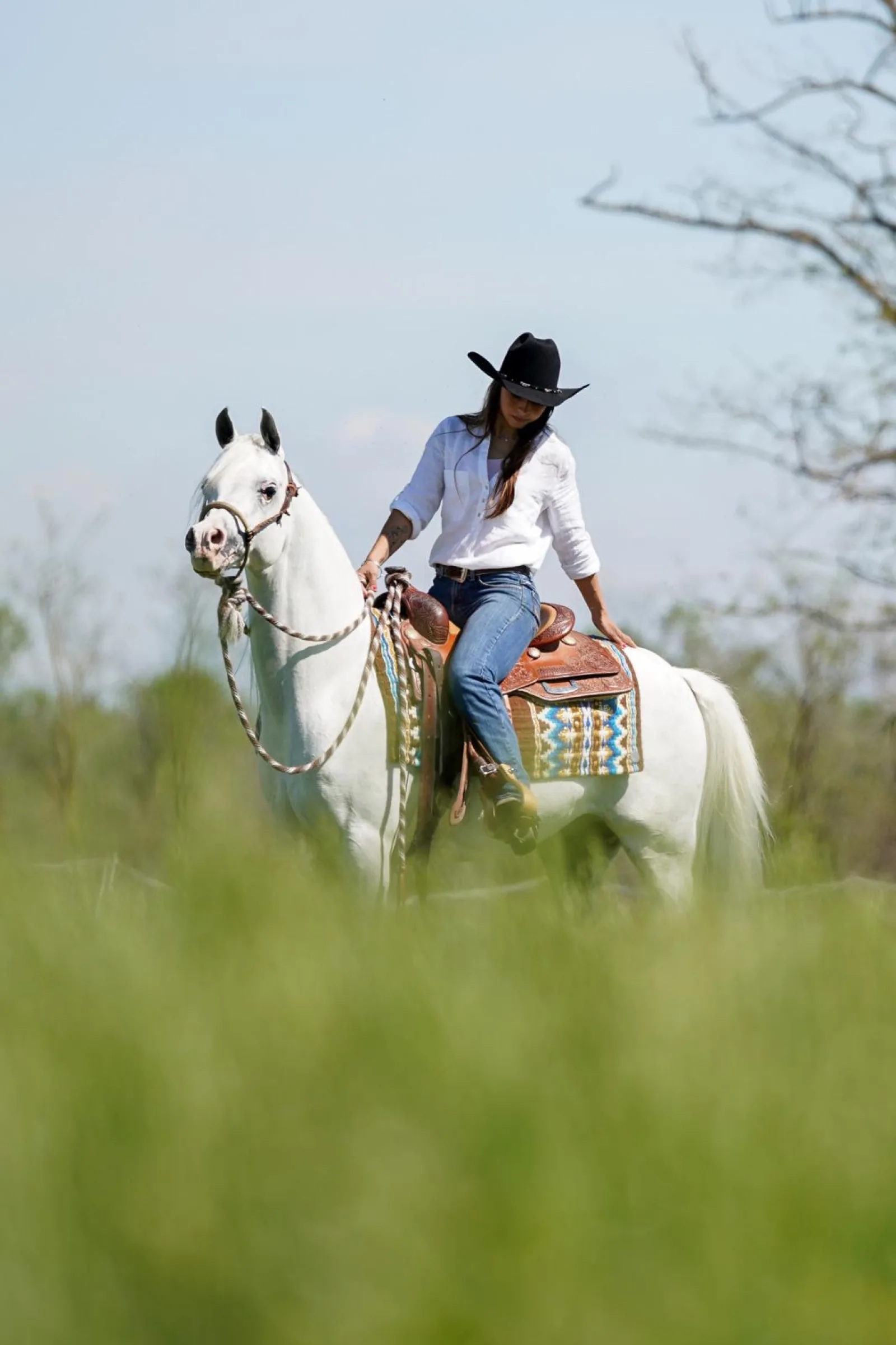 Laetitia Collet à cheval, jument arabe grise, dans un pré au coucher du soleil